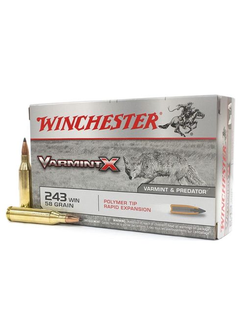 243 Win WINCHESTER Varmint X 3.8 g/58 gr