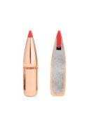 12/70 HORNADY SST Slug FTX 300 gr/19.4 g