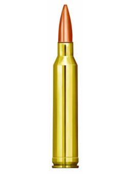 7 mm Rem.Mag.